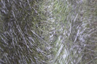 Trinity Gask fibreglass roof work